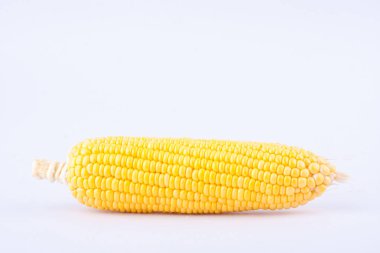 Koçan üzerinde taze mısır taneleri ya da beyaz arka planda olgun mısır taneleri izole edilmiş tatlı mısır sebzeleri.