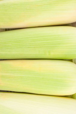 Mısır gevreğinin lezzetli kulağı mısır taneleri veya olgun mısır taneleri beyaz arka planda yalıtılmış mısır sebzeleri