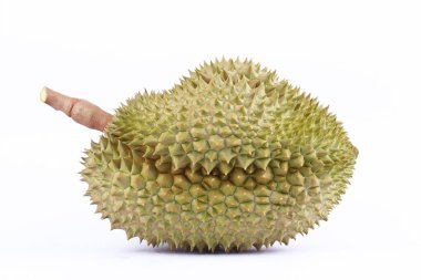   Durian mon tangası meyve tropikal durian ve meyve durian kralıdır beyaz arka planda sağlıklı Durian meyvesi izole edilmiş