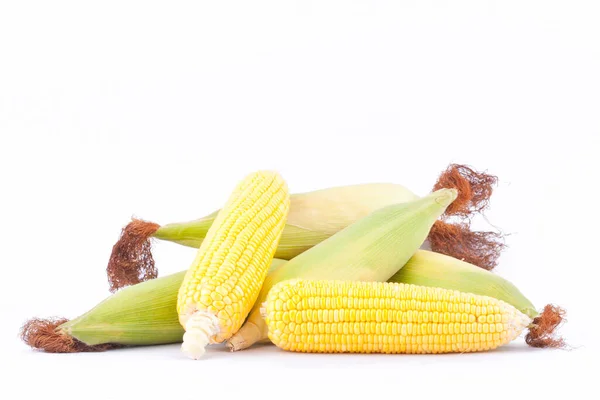 Fresh Ear Sweet Corn Cobs Kernels Grains Ripe Corn White — Stock Photo, Image