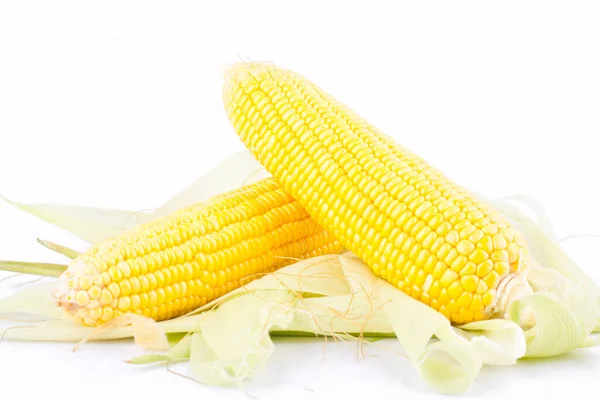 Sarı mısır koçanlarının üzerinde mısır taneleri ya da olgun mısır taneleri beyaz arka planda izole edilmiş mısır sebzeleri.