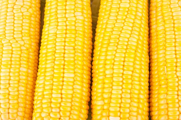 Sweet Corn Cobs Kernels Grains Ripe Corn White Background Corn — Stock Photo, Image