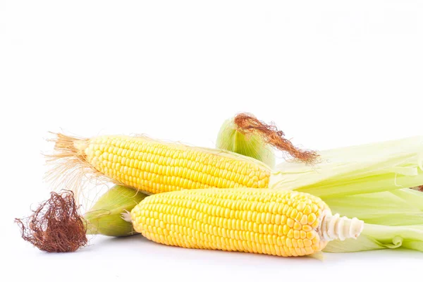 Fresh Ear Sweet Corn Cobs Kernels Grains Ripe Corn White — Stock Photo, Image