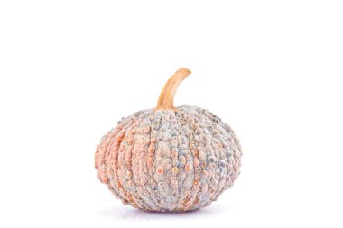 Kabak kabağı ve kabak tohumu beyaz arka planda sağlıklı kabocha Sebze