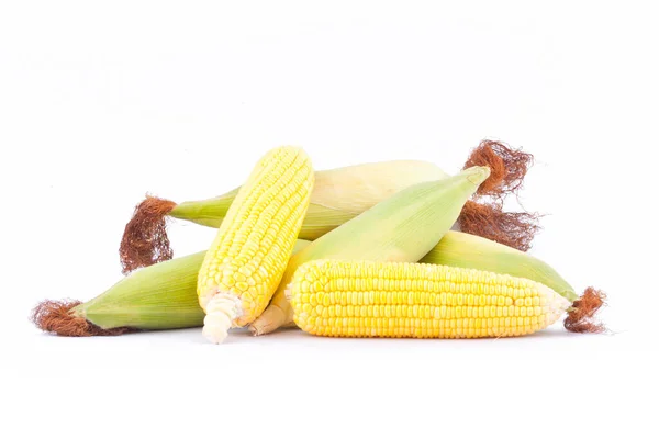 Sweet Corn Cobs Kernels Fresh Grains Ripe Corn White Background — Stock Photo, Image