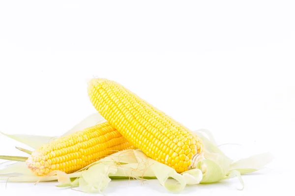 Sweet Corn Cobs Kernels Grains Ripe Corn White Background Corn — Stock Photo, Image