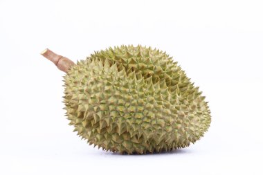 Durian mon tangası beyaz arka planda tropikal meyvelerin kralıdır. Sağlıklı Durian meyveleri yakın mesafeden izole edilir.