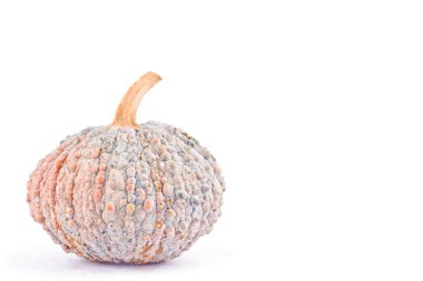  kabak kabağı dilimleri beyaz arka planda tohumlar sağlıklı kabocha sebze yemekleri izole edilmiş