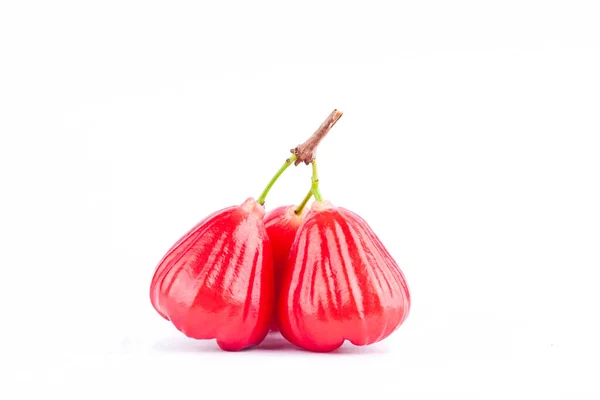 Red Rose Apple Chomphu Have Sweet Taste Fruit White Background — Stock Photo, Image
