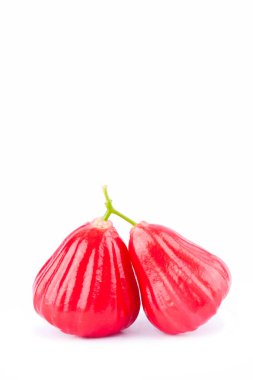 Beyaz arka planda kırmızı gül elması veya su elması sağlıklı elma meyvesi izole edilmiş.