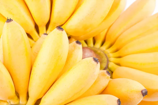 Ruka Zlatých Banánů Bílém Pozadí Zdravé Pisang Mas Banán Ovoce — Stock fotografie