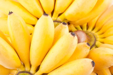  Lady Finger muz ve beyaz zemin üzerinde altın muz eli sağlıklı Pisang Mas muz meyvesi izole