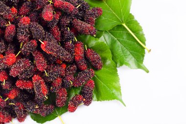 Beyaz arka planda dut meyvesi ve dut yaprağı. Sağlıklı dut meyvesi. İzole edilmiş.