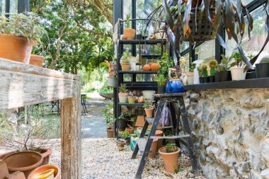 Huysuz gibi düzenlenmiş bir gerektiren hangi bitki yapıdır