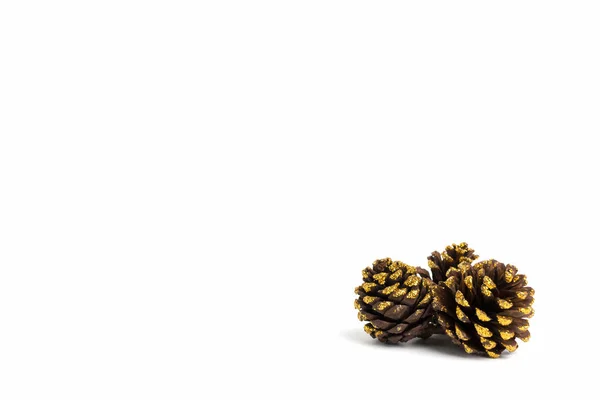Cone de pinheiro com brilho de ouro no backgroun branco — Fotografia de Stock