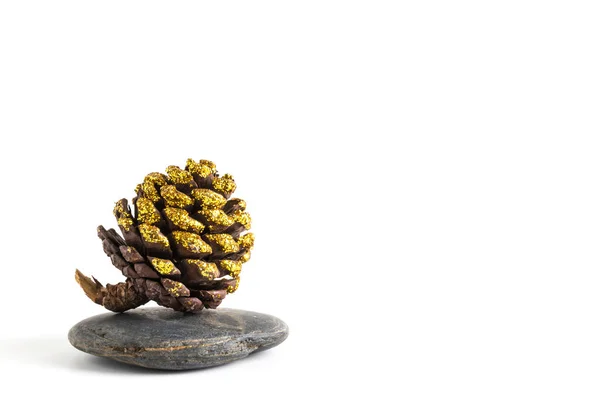 Cone de pinheiro em pedras balanceamento isolado no fundo branco — Fotografia de Stock