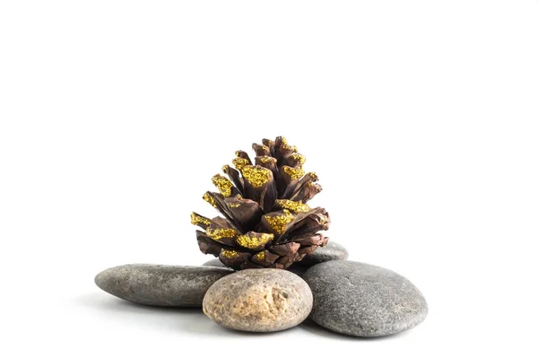 Tannenzapfen auf Steinen balancieren isoliert auf weißem Hintergrund — Stockfoto