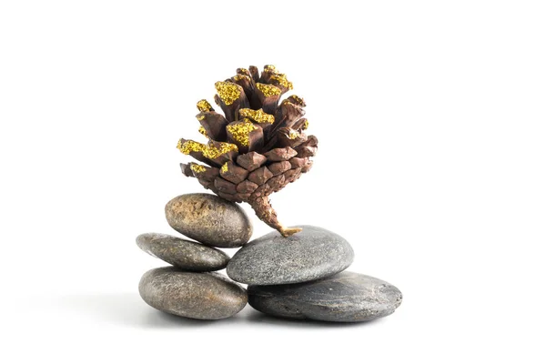 Pine cone on stones balancing isolated on white background — Stock Photo, Image