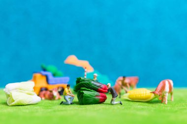 Minyatür insanlar: bir sebze hasat çiftçiler 