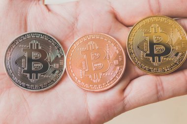 Bitcoin Cryptocurrency dijital Bit sikke Btc para birimi