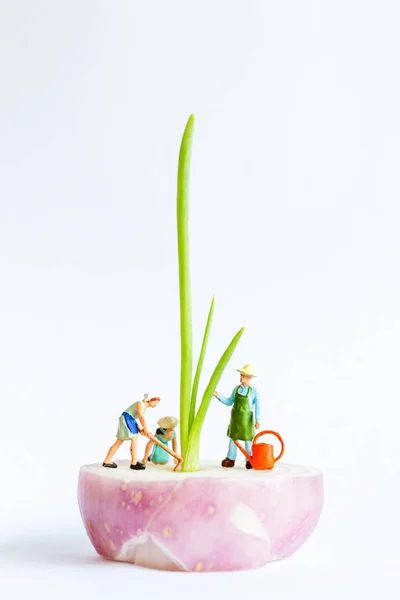 Jardineiros em miniatura Colheita Cebolinha sobre fundo branco — Fotografia de Stock