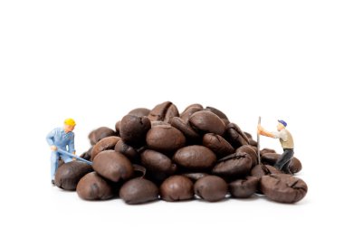 Beyaz arka planda kavrulmuş kahve çekirdekleriyle çalışan minyatür insanlar.