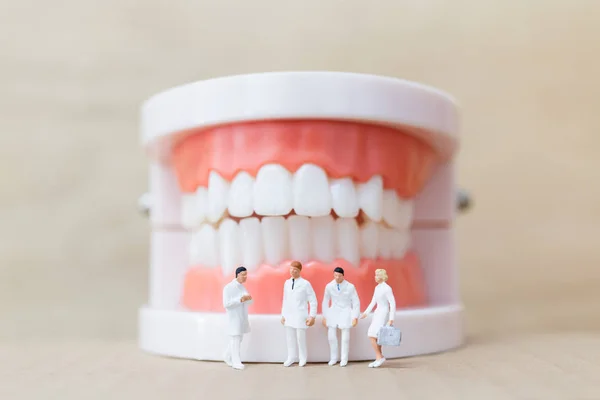 Persone in miniatura: dentista e infermiere osservano e discutono di denti umani con gengive e smalto — Foto Stock