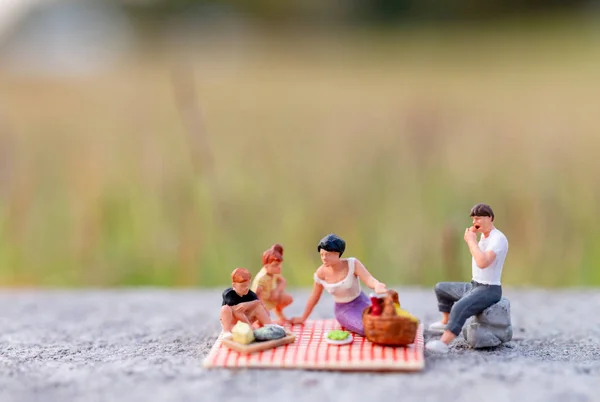 Pessoas Miniatura Família Feliz Sentada Tapete Durante Piquenique Parque — Fotografia de Stock