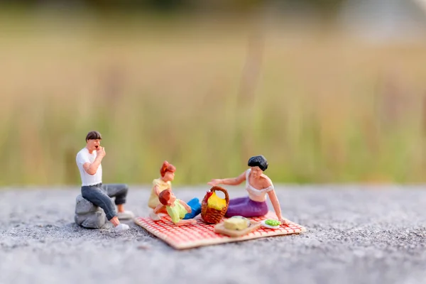 Persone Miniatura Famiglia Felice Seduta Sul Tappeto Durante Picnic Parco — Foto Stock
