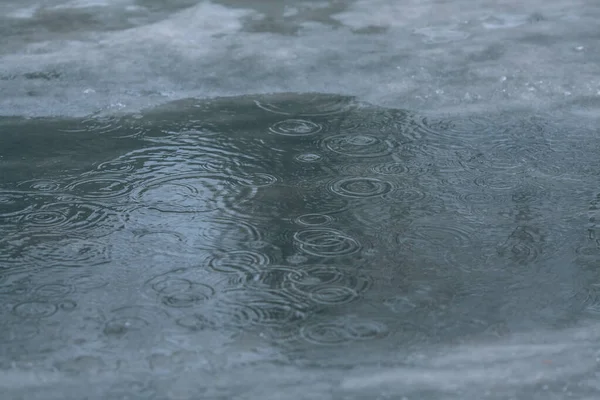 Deszczowa Pogoda Krople Deszczu Kałuży Koła Wodzie — Zdjęcie stockowe