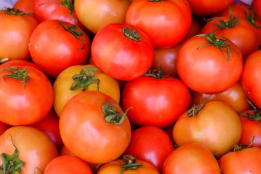 Olgun domatesler Da Lat şehrindeki yerel bir markette satılıyor. Domatesler organik bir çiftlikteki bir serada yetişir. Yüksek kaliteli sebze stoğu imajı.. 