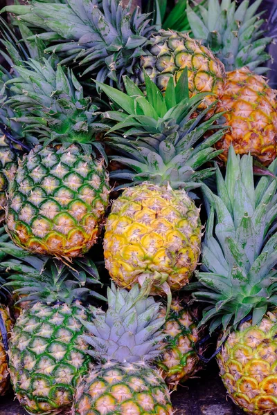 Colorful Pineapples Sell Local Market Lat City Pineapples Grown Greenhouse — Stock Photo, Image