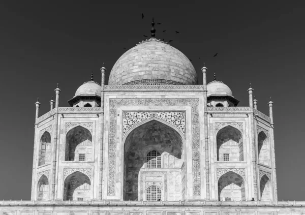 Agra Uttar Pradesh India Března 2019 Černobílý Portrét Taj Mahal — Stock fotografie