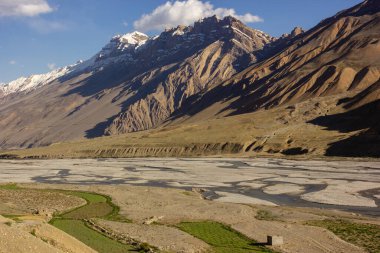Spiti nehri, Hindistan 'ın Himachal Pradesh kentindeki Kaza köyünde yeşil tarlalar ve yüksek Himalaya dağları arasında akar..