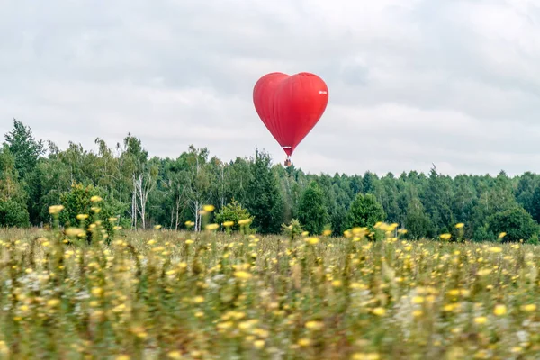 Kalp şeklinde bir balon uçurmak — Stok fotoğraf