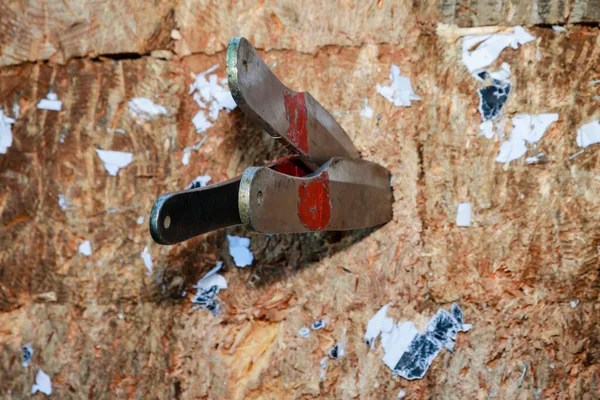 Throwing knives in the board. Close-up