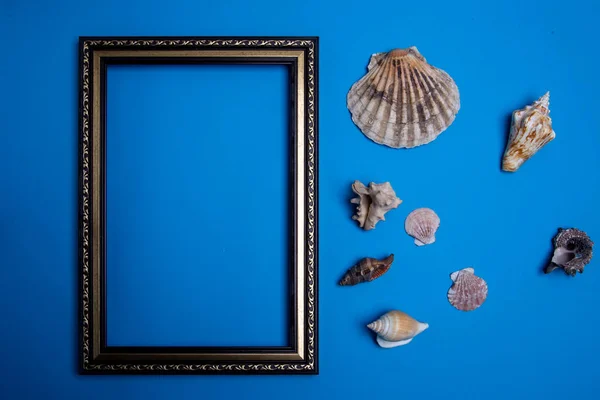 Rahmen und Muscheln auf blauem Hintergrund. Attrappe — Stockfoto