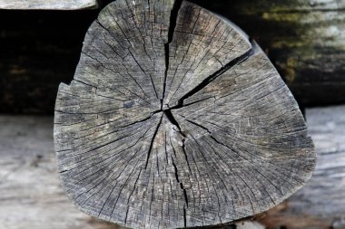 Kütüklerden bir duvar. Arkaplan.