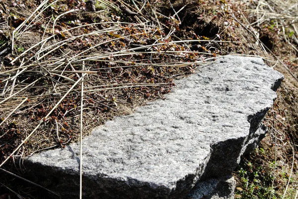 Struktura Toho Kamene Pozadí Detailní Záběr — Stock fotografie