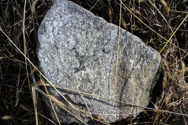 Texture Stone Background Close — Stock Photo, Image