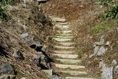 Peyzaj tasarımı. Taş adımlar. Yakın çekim.
