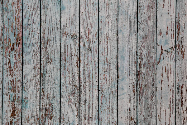 Old painted wooden fence. Background texture
