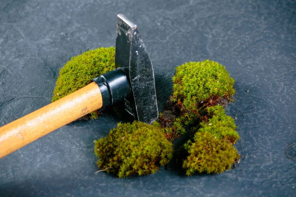 hammer in green moss on granite