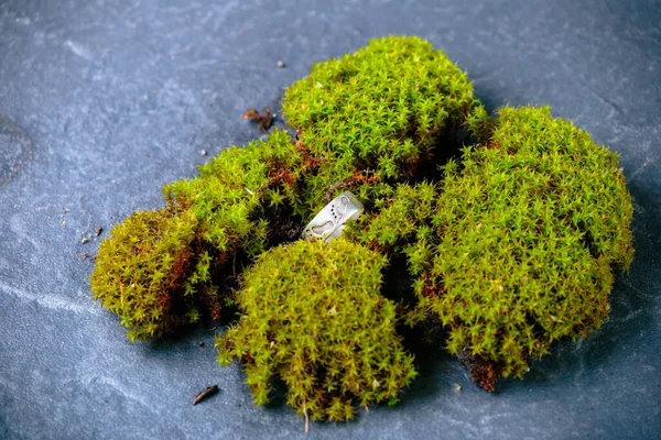 Torn green moss on granite