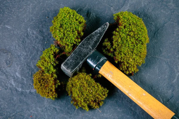 Martillo Musgo Verde Sobre Granito — Foto de Stock