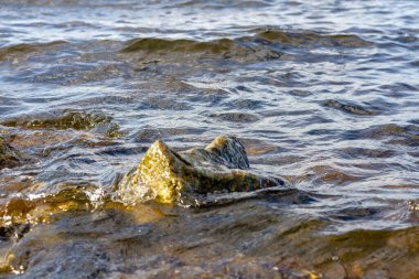 Rocky nehir kıyısı. Dalgalar kayalara karşı yükselir