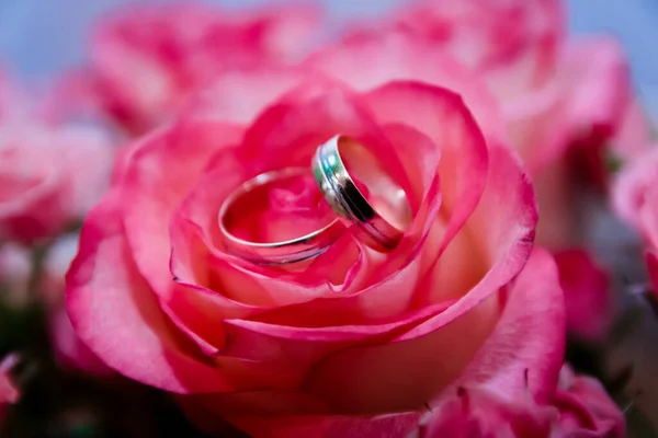 Wedding Rings Background Bouquet Roses — Stock Photo, Image