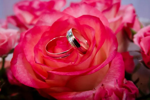 Trauringe Vor Dem Hintergrund Eines Rosenstraußes — Stockfoto