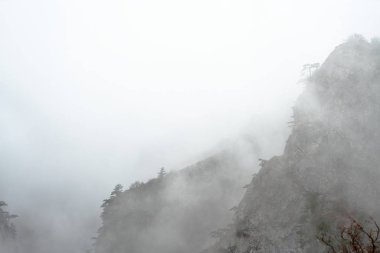 Alçak bulutlar ve sisle kaplı kanyon yamaçlarının manzarası.