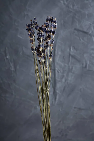 Lavender bouquet of dried flowers dried flowers on a gray backgr
